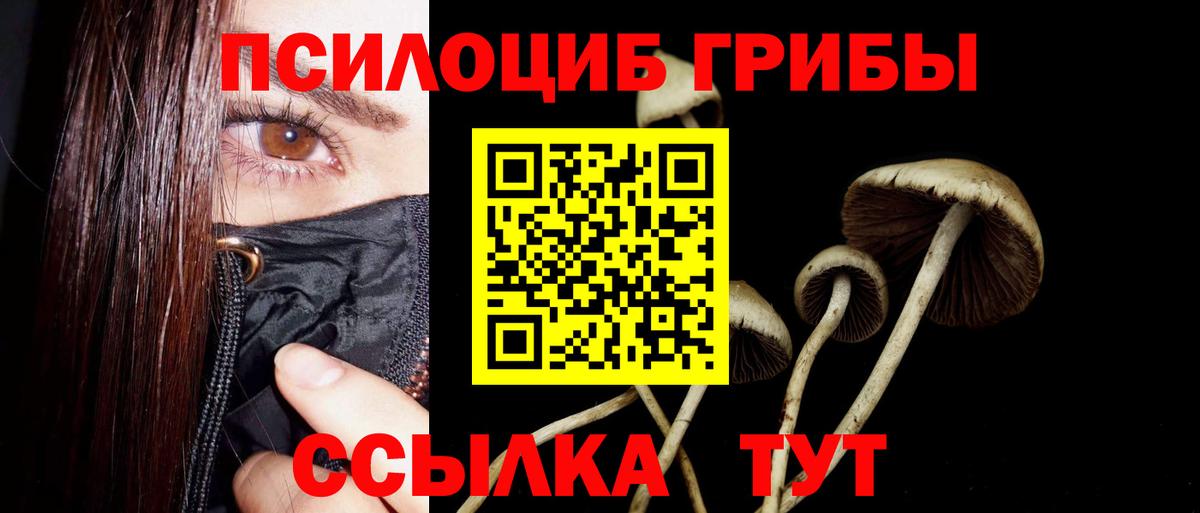 Галлюциногенные грибы MAGIC MUSHROOMS  Псилоцибиновые грибы прущие грибы  наркота  Вход с VPN  Чусовой 